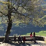 Ferme De Trielle 3* Thiézac