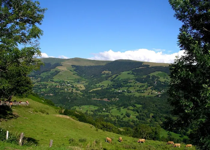 Ferme De Trielle Bed & Breakfast